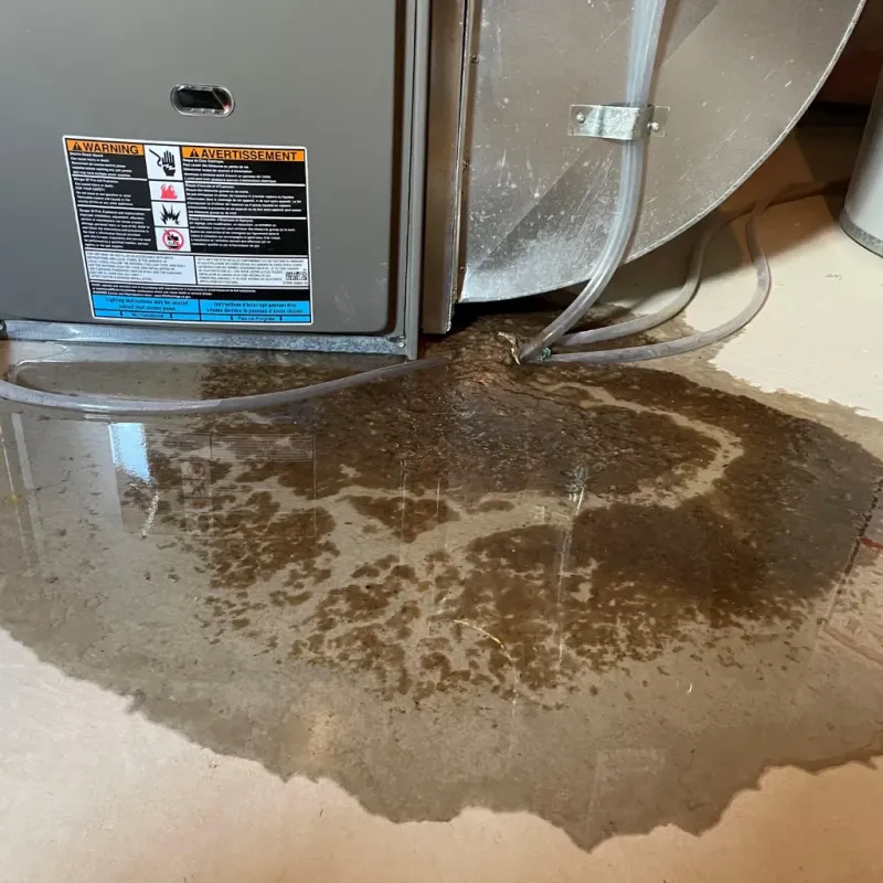 Appliance Leak Cleanup in Ellenton, FL